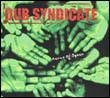 Dub Syndicate: Acres of Space