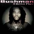 Bushman: A Better Place