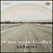 Vincent Gallo: When