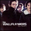 Wallflowers (The): Red Letter Day