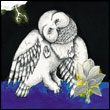 Songs: Ohia: The Magnolia Electric co