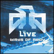 LIVE: Birds of Pray