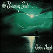 Bouncing Souls, The Bouncing Souls: Anchors Aweigh