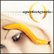 A Perfect Circle: Thirteenth Step