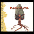 Richard Desjardins: Kanasuta