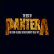 Pantera – ANTHOLOGIE: Far Beyond the Great Southern Cowboys' Vulgar Hits!