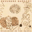 Devendra Banhart: Rejoicing in the hands