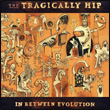 The Tragically Hip: In Between Evolution