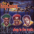 The Heptones: Deep in the Roots