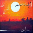 Xavier Rudd: Solace