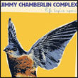 Jimmy Chamberlin: Complex, Life Begins Again