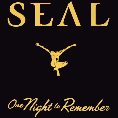 Seal: One Night to Remember (CD/DVD)