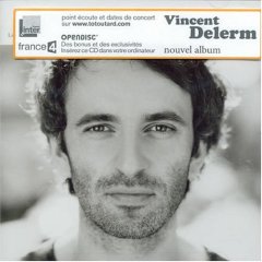 Vincent Delerm: Les Piqûres d'araignée