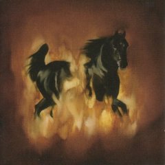 The Besnard Lakes: The Besnard Lakes Are the Dark Horse