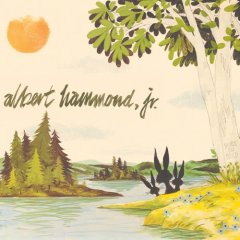 Albert Hammond Jr.: Yours To Keep