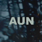 Aun: Mule