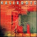 Kaliroots: Rien à perdre