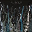 Pelican: City of Echoes