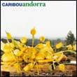 Caribou: Andorra