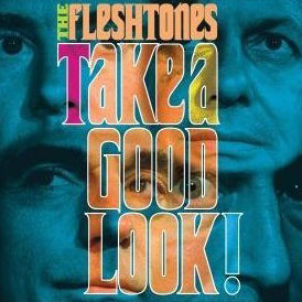 The Fleshtones: Take a Good Look!