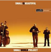 Small World Project: Small Is Beautiful