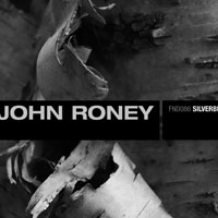 John Roney: Silverbirch