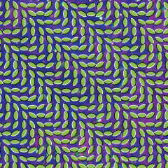 Animal Collective: Merriweather Post Pavilion