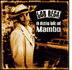 Lou Bega: A Little Bit of Mambo