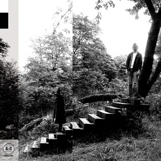 Timber Timbre: Timber Timbre