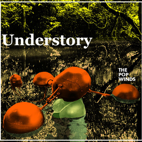 The Pop Winds: Understory EP