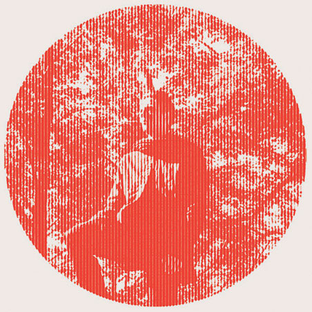 Owen Pallett: Heartland