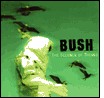 Bush: The Science of Things