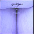 GusGus: Vs. T-World