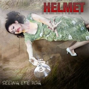Helmet: Seeing Eye Dog