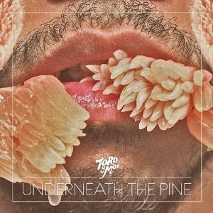 Toro Y Moi: Underneath the Pine