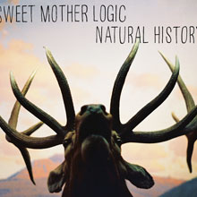 Sweet Mother Logic: Natural History
