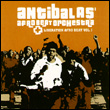 Antibalas Afro Beat Orchestra: Liberation Afro Beat Vol.1