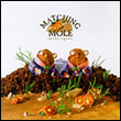 Matching Mole: Smoke Signals