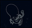 Sigur Ros: Agaetis Byrjun